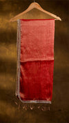 Raga Pearl Lace Tissue Saree