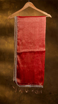 Raga Pearl Lace Tissue Saree