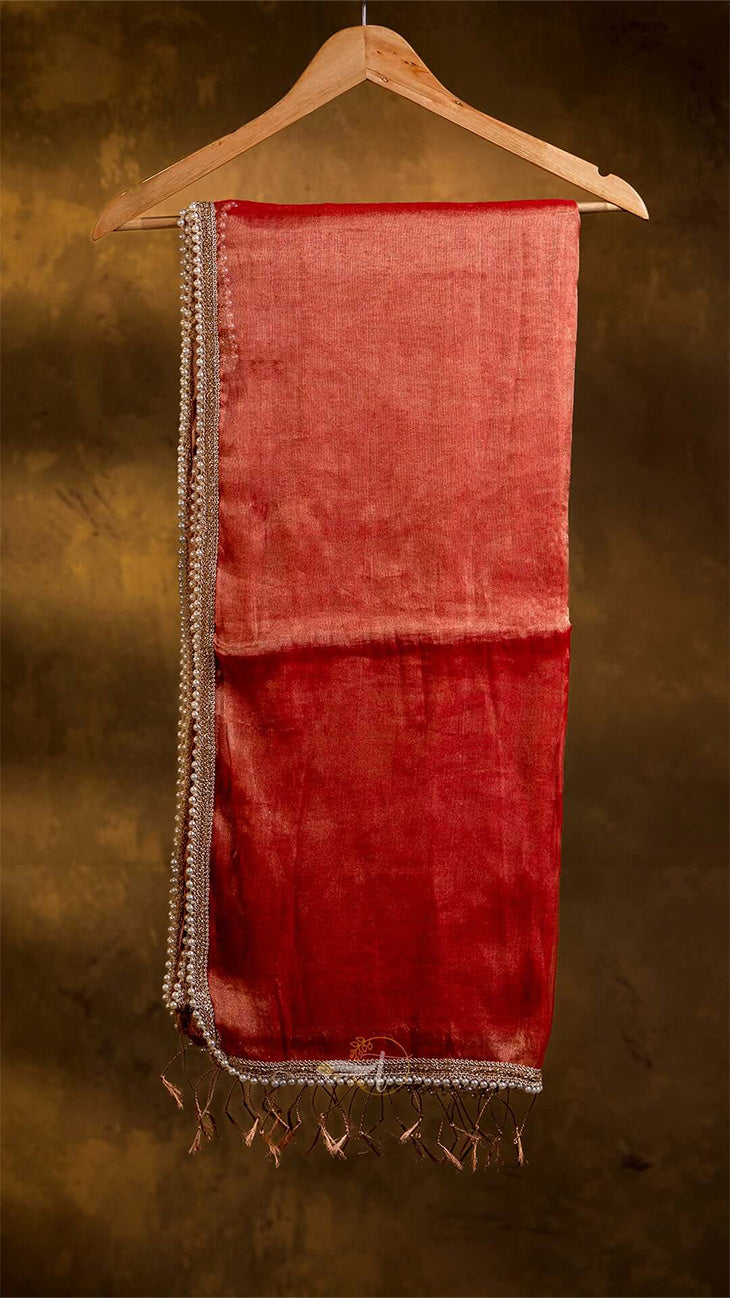Raga Pearl Lace Tissue Saree