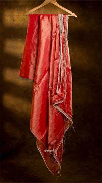 Raga Pearl Lace Tissue Saree
