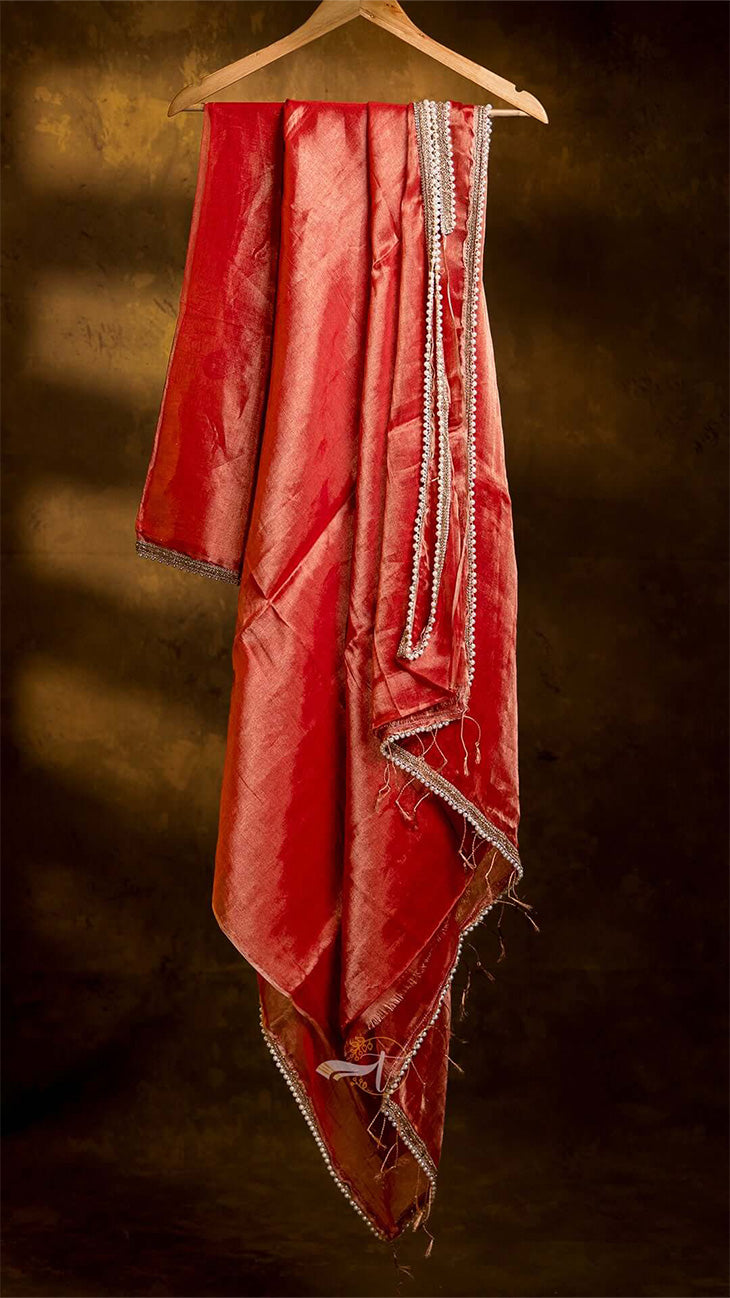 Raga Pearl Lace Tissue Saree