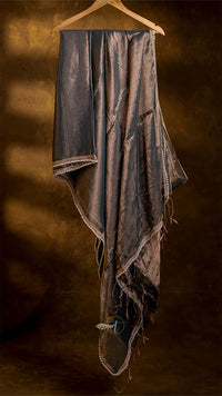 Raga Pearl Lace Tissue Saree