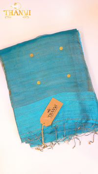 Coin Matka Saree