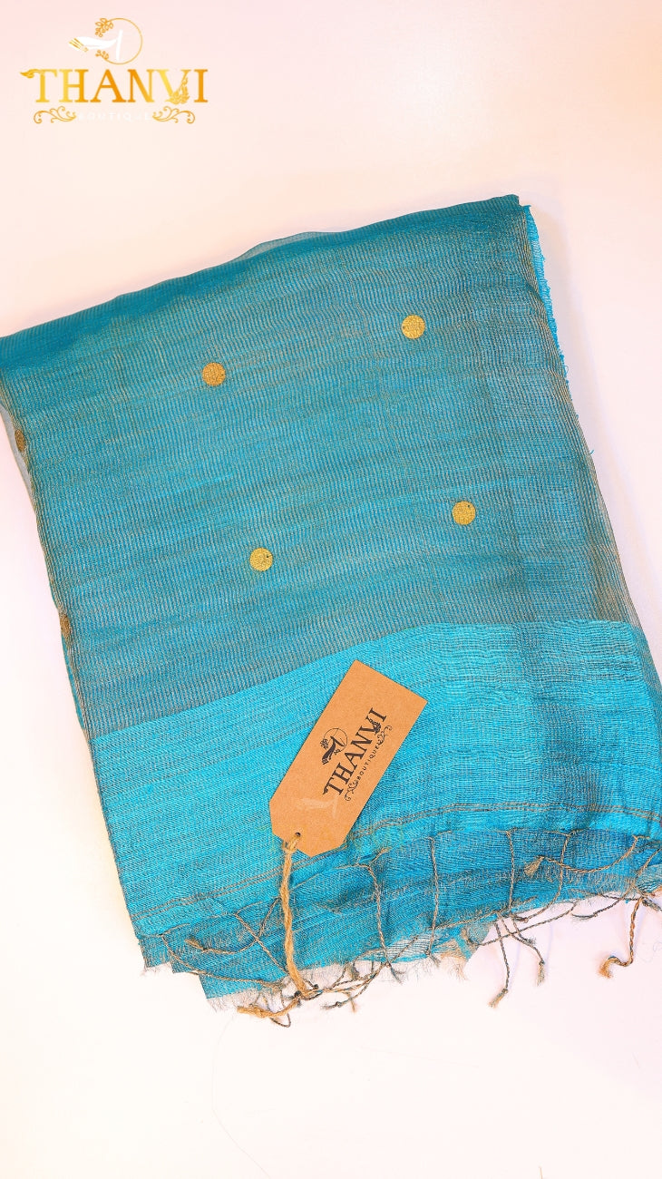 Coin Matka Saree