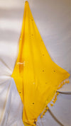 Modal Mirror Saree