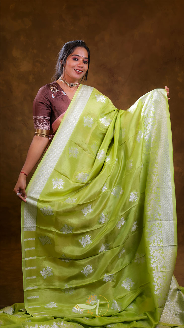 Woman wearing a green saree with a white border against a brown background
