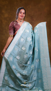 Woman holding a light blue saree with a brown background