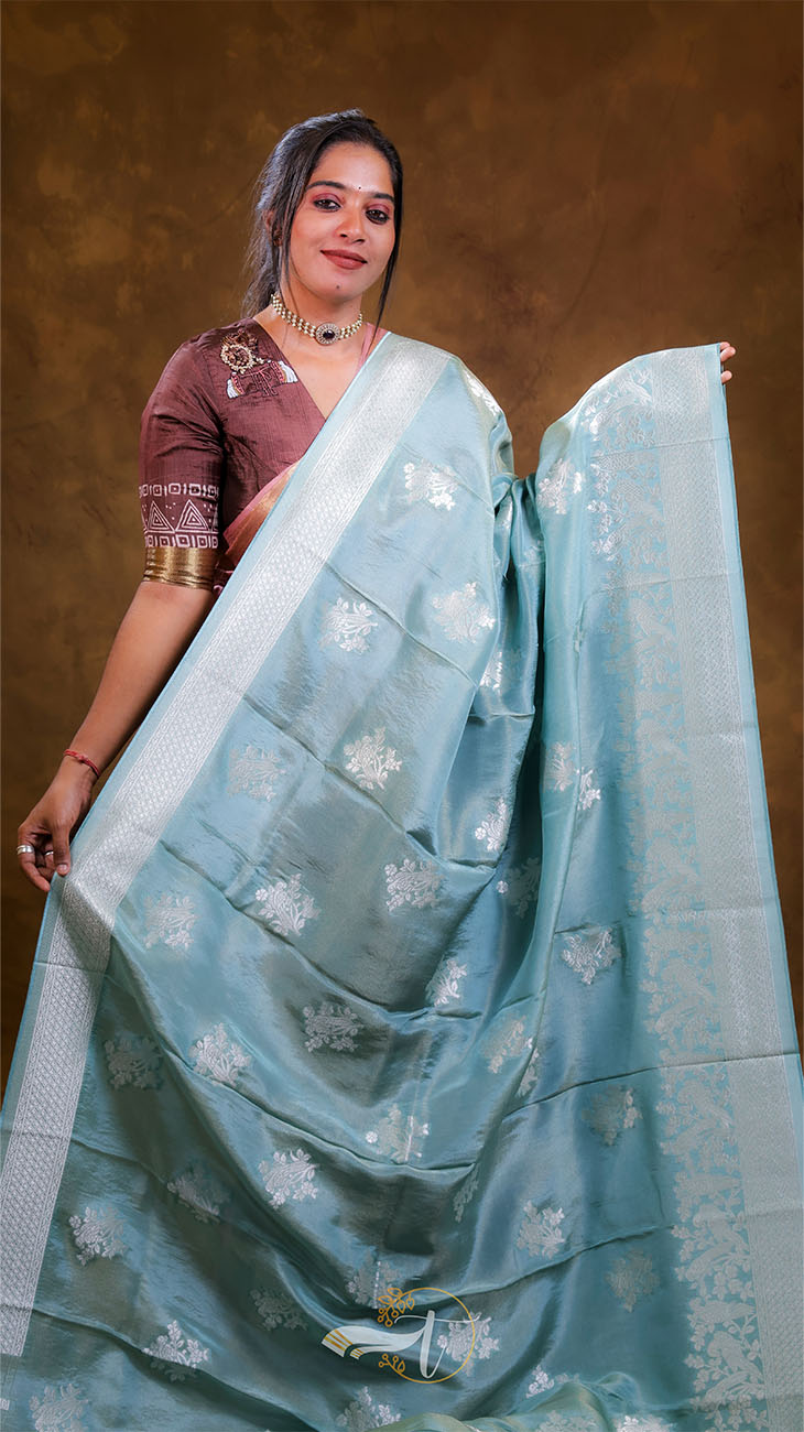 Woman holding a light blue saree with a brown background