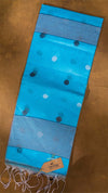 Elegant Organza Saree