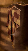 Popstick Checks Saree