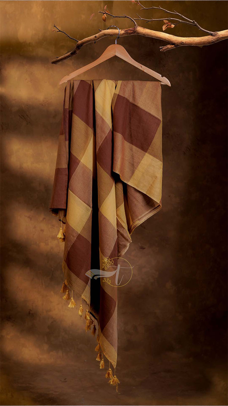Popstick Checks Saree