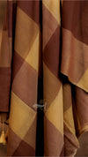 Popstick Checks Saree