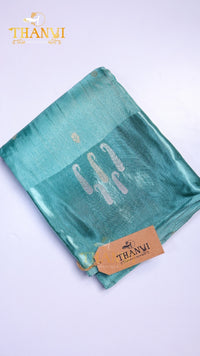 Raga Silk Uppada Saree