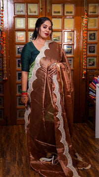 Raga Pearl Big Border Tissue Saree