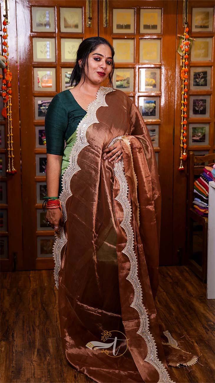Raga Pearl Big Border Tissue Saree