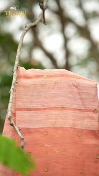 Coin Matka Saree