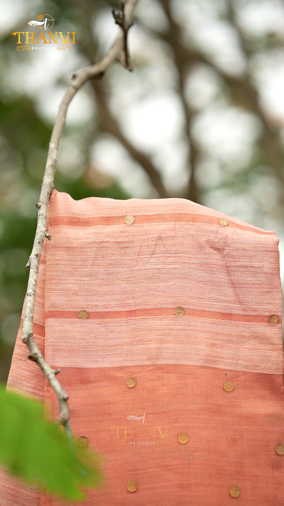 Coin Matka Saree