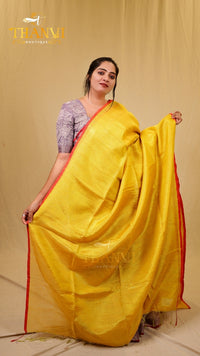 Tissue 180C Saree