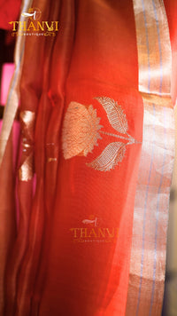 Pure Banarasi Raw Silk