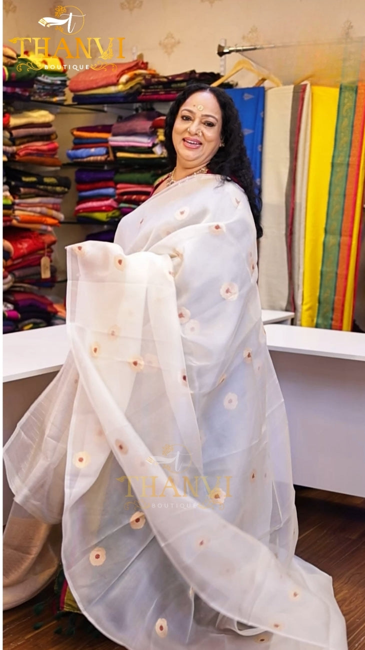 Premium Organza saree