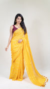 Popstick Stripes Saree