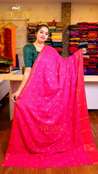 Zari Emb Stripes Border