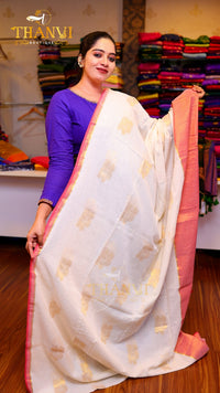 Zari Emb Stripes Border