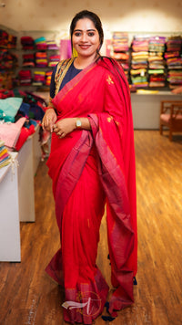 Zari Emb Stripes Border