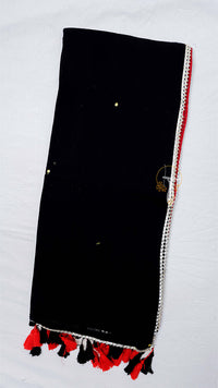Half Mirror Saree