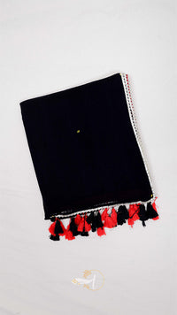 Half Mirror Saree