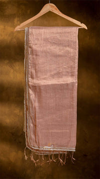 Raga Pearl Lace Tissue Saree