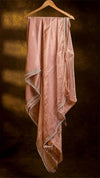 Raga Pearl Lace Tissue Saree