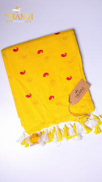 Femb Linen Cotton Saree