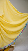 Q Lace Border Saree