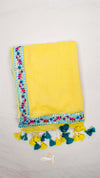 Q Lace Border Saree