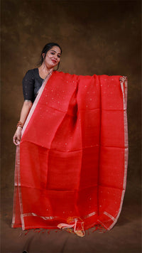 Woman wearing a red saree with a brown background