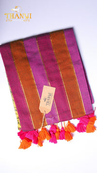 Rainbow Cotton  Saree