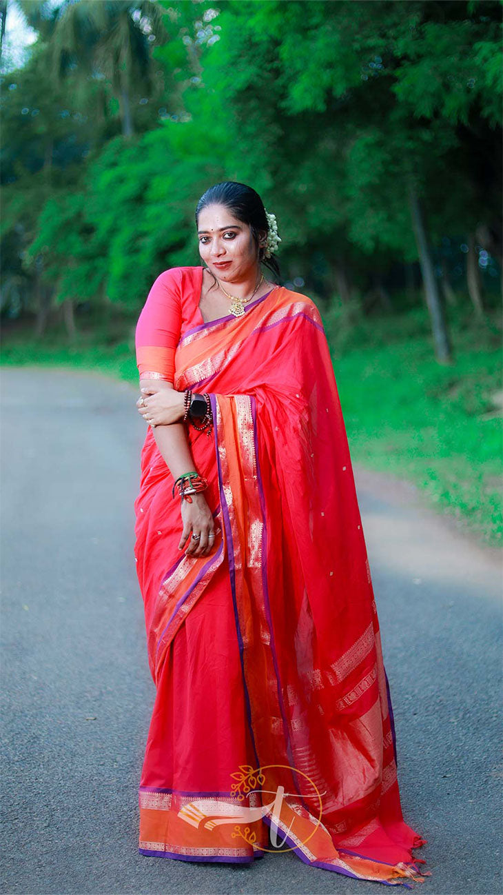Mesmerised Maheshwari Cotton Saree