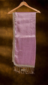 Raga Pearl Lace Tissue Saree
