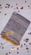 Tissue Banarasi Saree